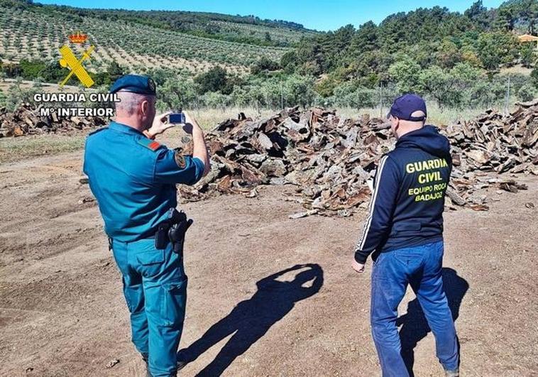24 investigados por robar 100 toneladas de corcho en fincas de Badajoz, Alburquerque y San Vicente